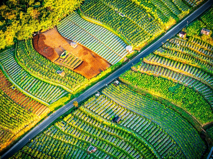 Aerial view of terraced fields, Nepal Van Java, Magelang, Central Java, Indonesia